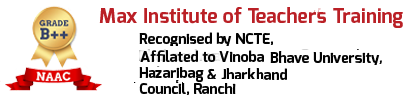 Max Teachers Institute
